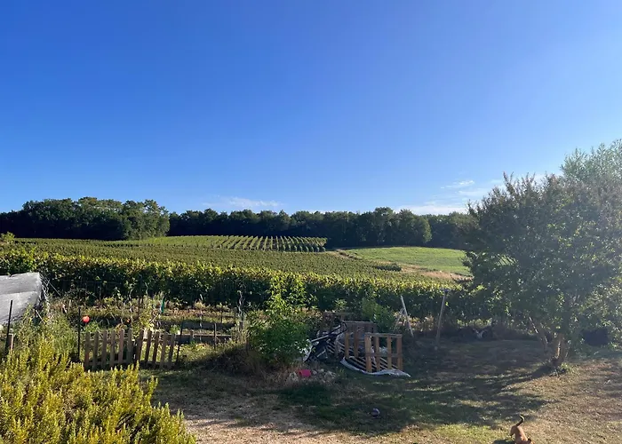 Aux Vignes D'arnaud Gæstehus